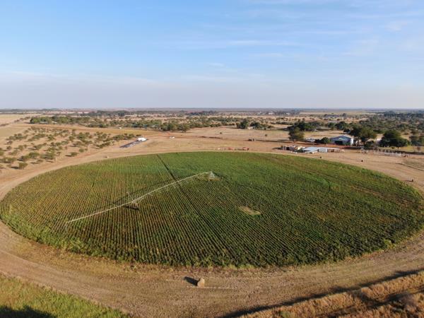 21.4 ha Commercial Farm
