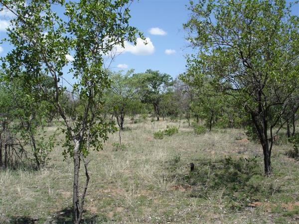 8.5 ha Land