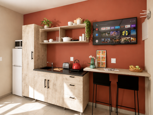 1 Bedroom Apartment