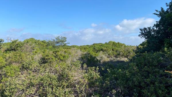 1 054 m² Land