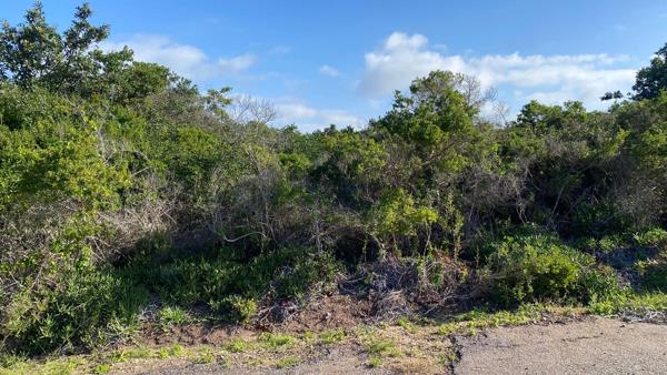 1 054 m² Land