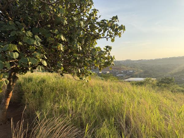 1 747 m² Land