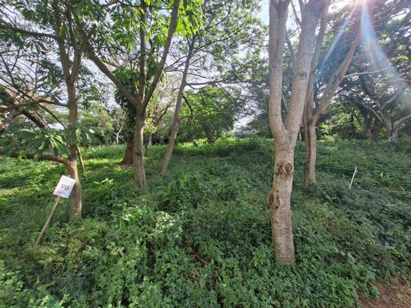 1 337 m² Land