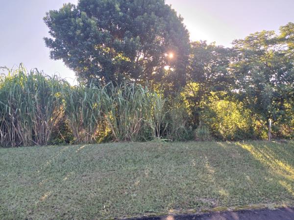 588 m² Land