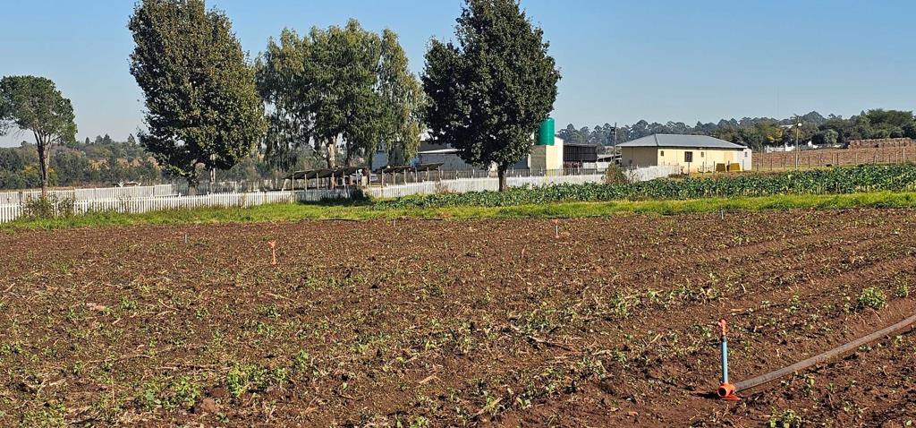 23 ha Farm