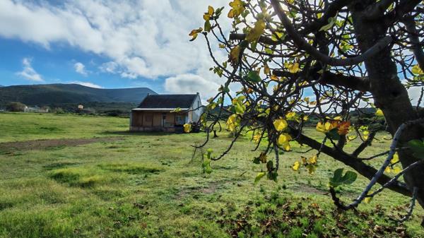 2.3 ha Smallholding