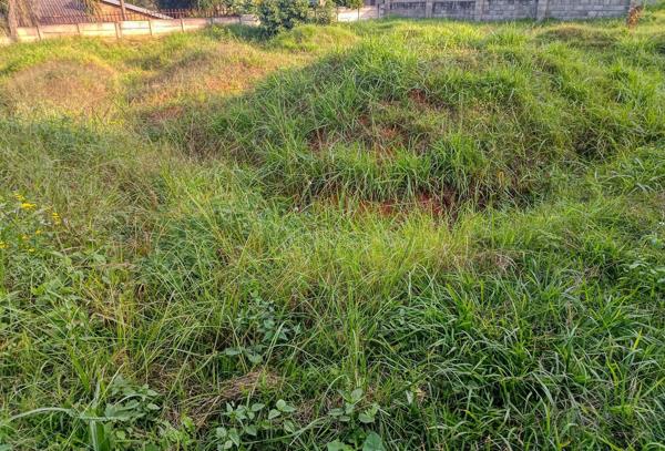 710 m² Land