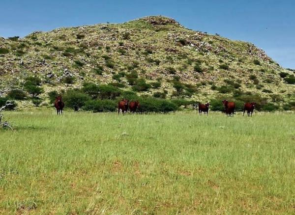 11 763 ha Farm