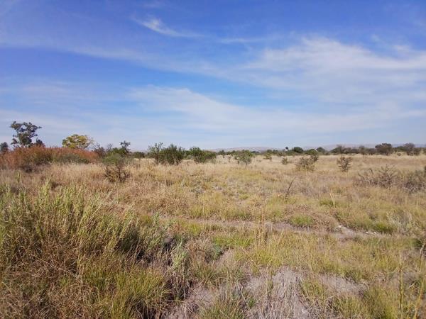 8 ha Land