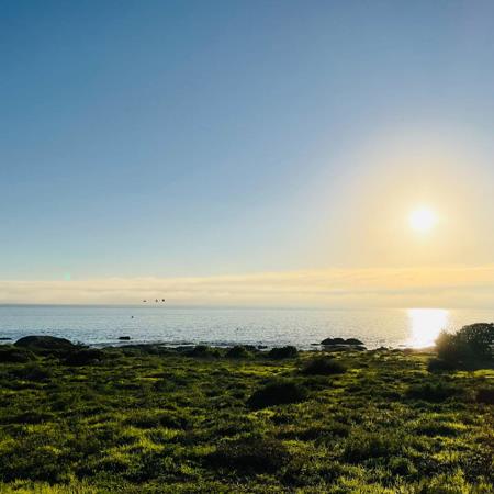 264 m² Land