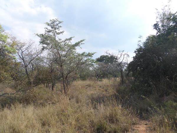 2 500 m² Land