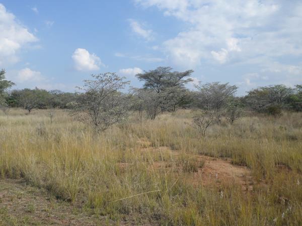 2 500 m² Land