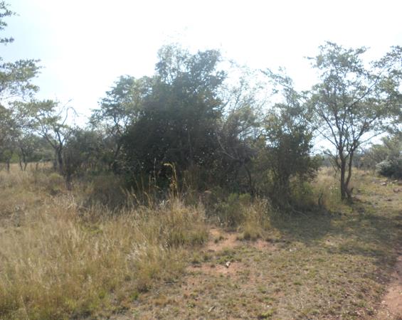 2 500 m² Land