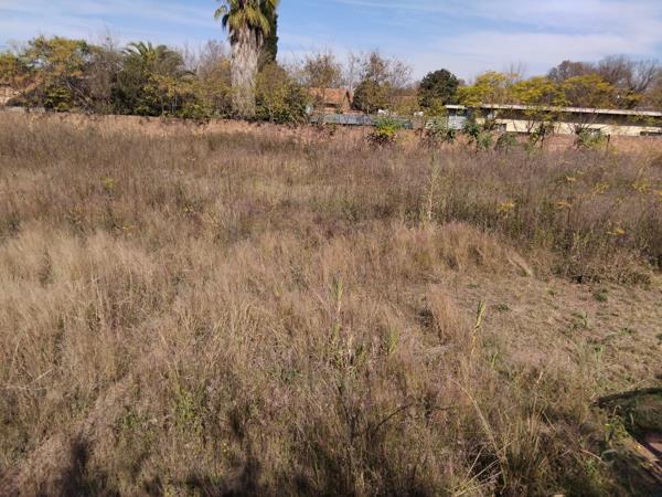 2 339 m² Land