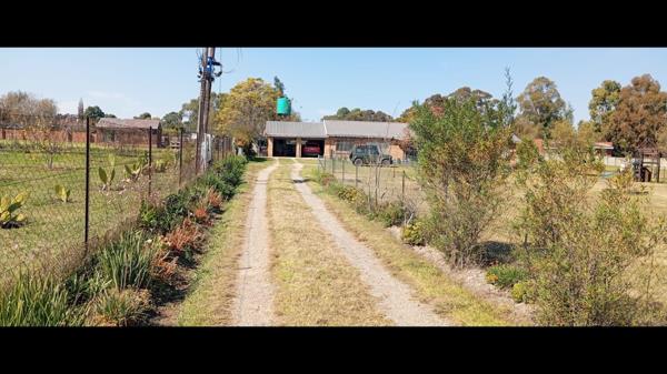 1.6 ha Smallholding