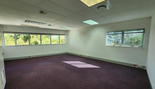 161 m² Office Space