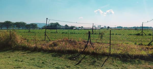 28 ha Agricultural Holding
