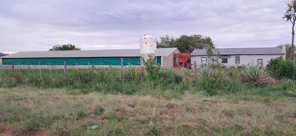 28 ha Agricultural Holding