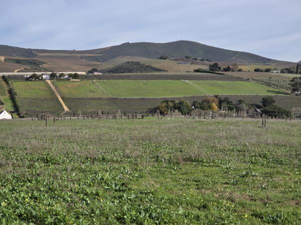 20 ha Farm
