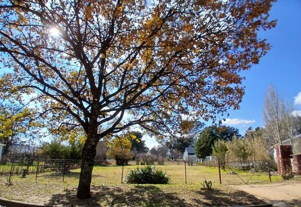 743 m² Land