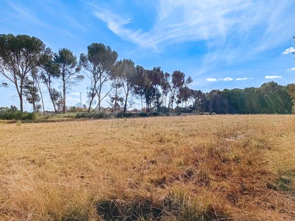 2.7 ha Agricultural Holding