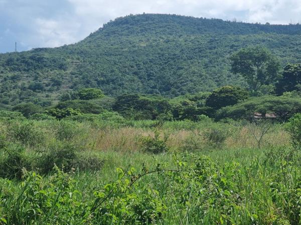 21.4 ha Farm