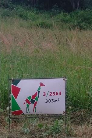 303 m² Land