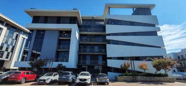 300 m² Office Space