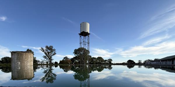 207.3 ha Farm