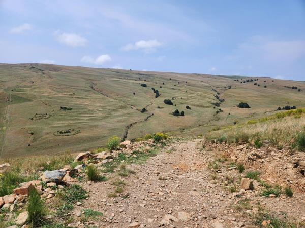 275 ha Farm