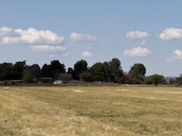 8.6 ha Smallholding