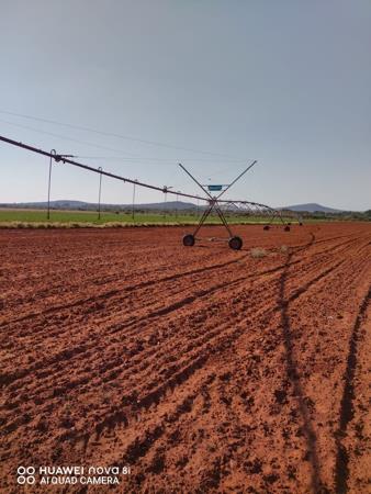 770 ha Farm