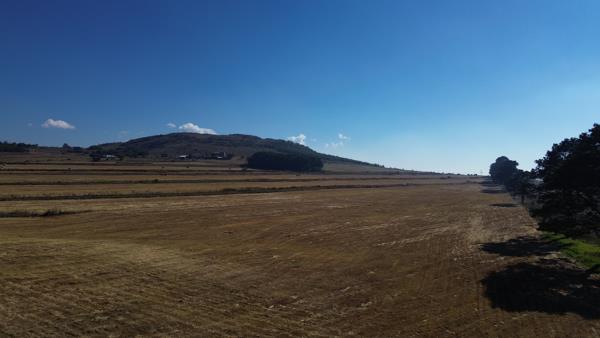 19 m² Land