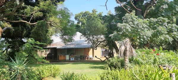 21 ha Farm