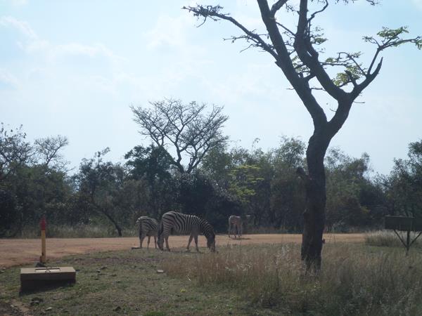2 473 m² Land