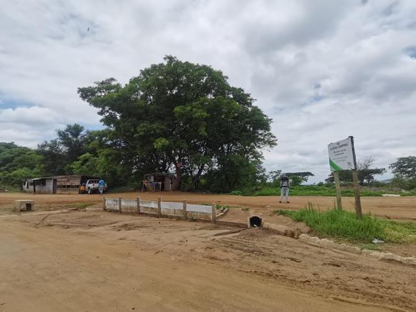 26.8 ha Farm with House