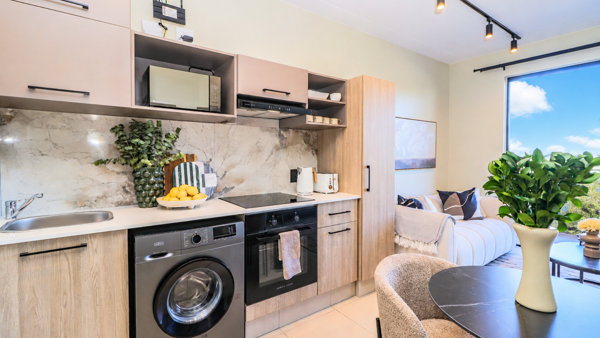1 Bedroom Apartment