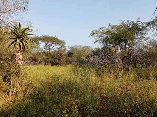 2 100 m² Land