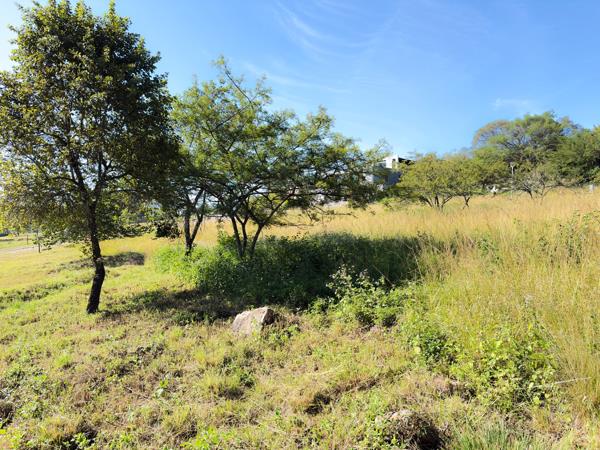 973 m² Land