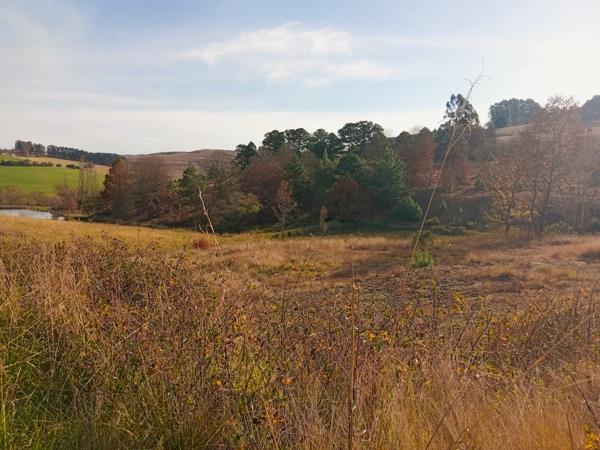 2 877 m² Land