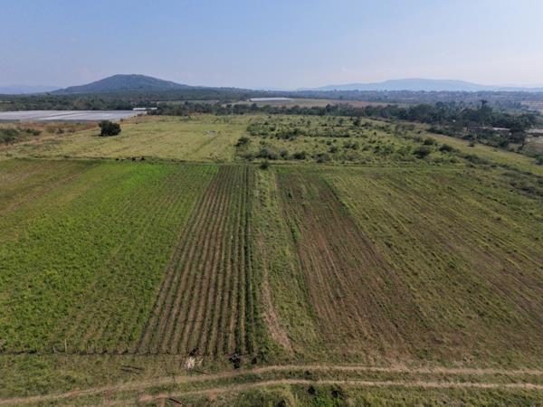 21 ha Commercial Farm