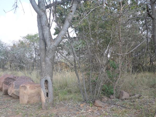 2 500 m² Land