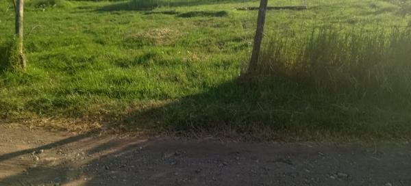 900 m² Land