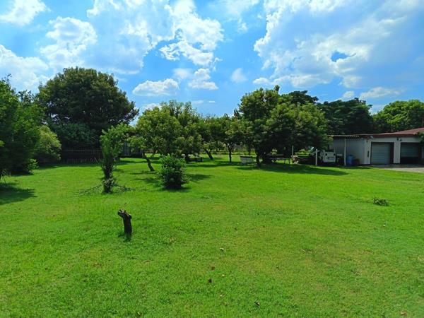 8.6 ha Farm