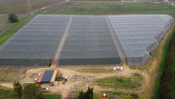2.4 ha Farm
