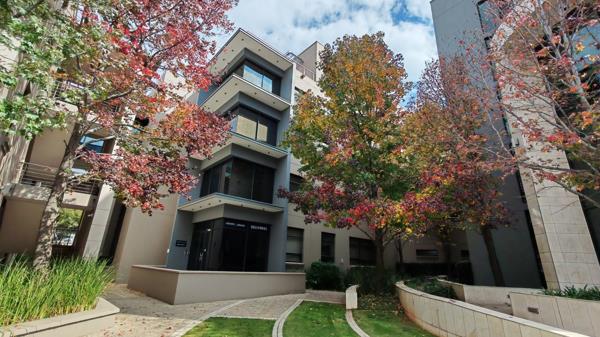 256 m² Office Space