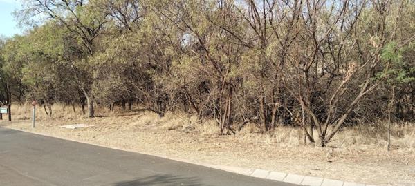 975 m² Land