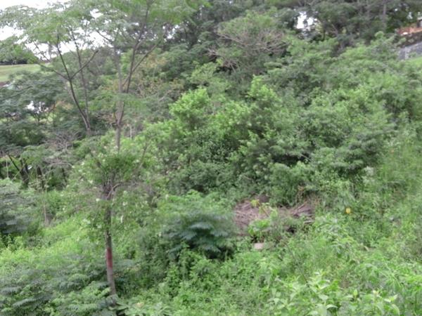 1 724 m² Land