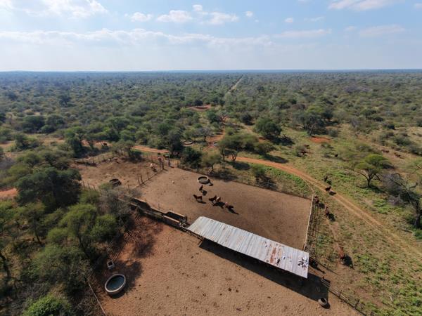 2 545.9 ha Commercial Farm