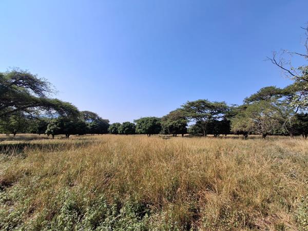2.3 ha Land